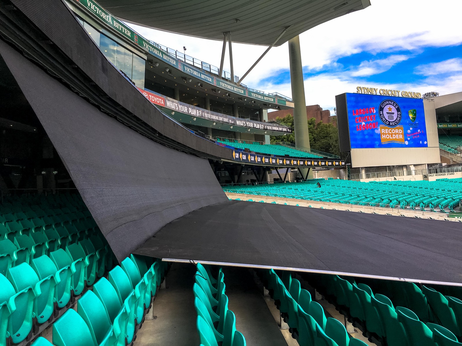 Pattons - Seat Sight Screen - Sydney Cricket Ground